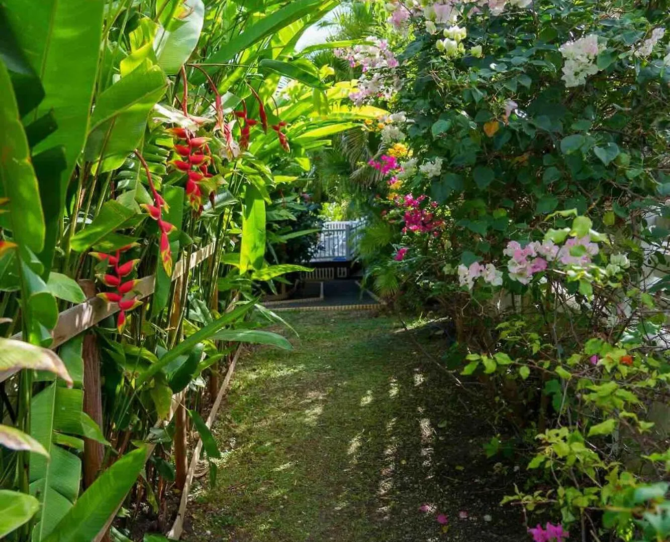 Villa Les Arbres Voyageurs Sur Les Hauts De Saint Francois 0*, Saint-Francois (Grande-Terre)